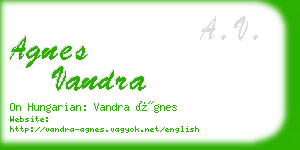 agnes vandra business card